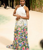 05-06-2024_metgala-arrivals032.jpg