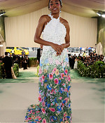 05-06-2024_metgala-arrivals063.jpg