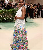 05-06-2024_metgala-arrivals071.jpg