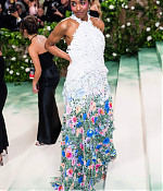 05-06-2024_metgala-arrivals078.jpg