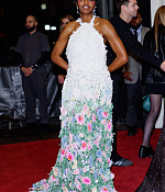 05-06-2024_metgala-arrivals082.jpg