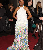 05-06-2024_metgala-arrivals115.jpg