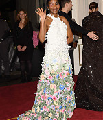 05-06-2024_metgala-arrivals117.jpg