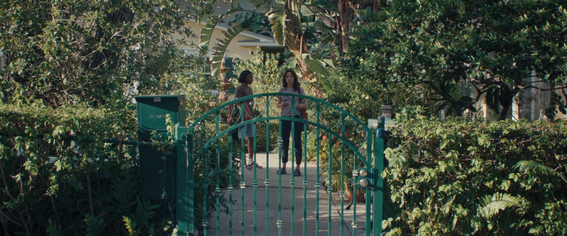 omniloop468.jpg