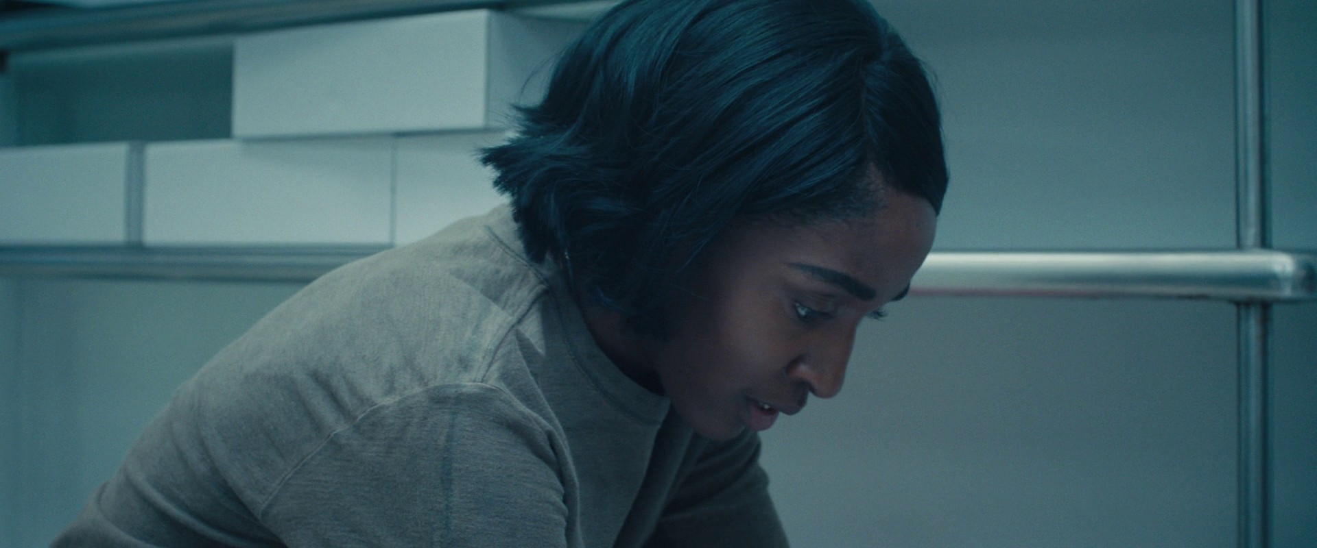 omniloop489.jpg omniloop489.jpg