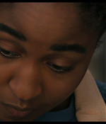 thebear201_260.jpg