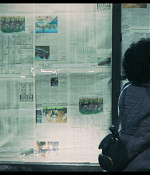 thebear201_351.jpg