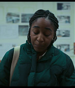 thebear203_313.jpg