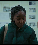 thebear203_314.jpg