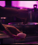 thebear403_001.jpg