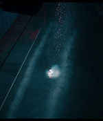 thebear408_129.jpg