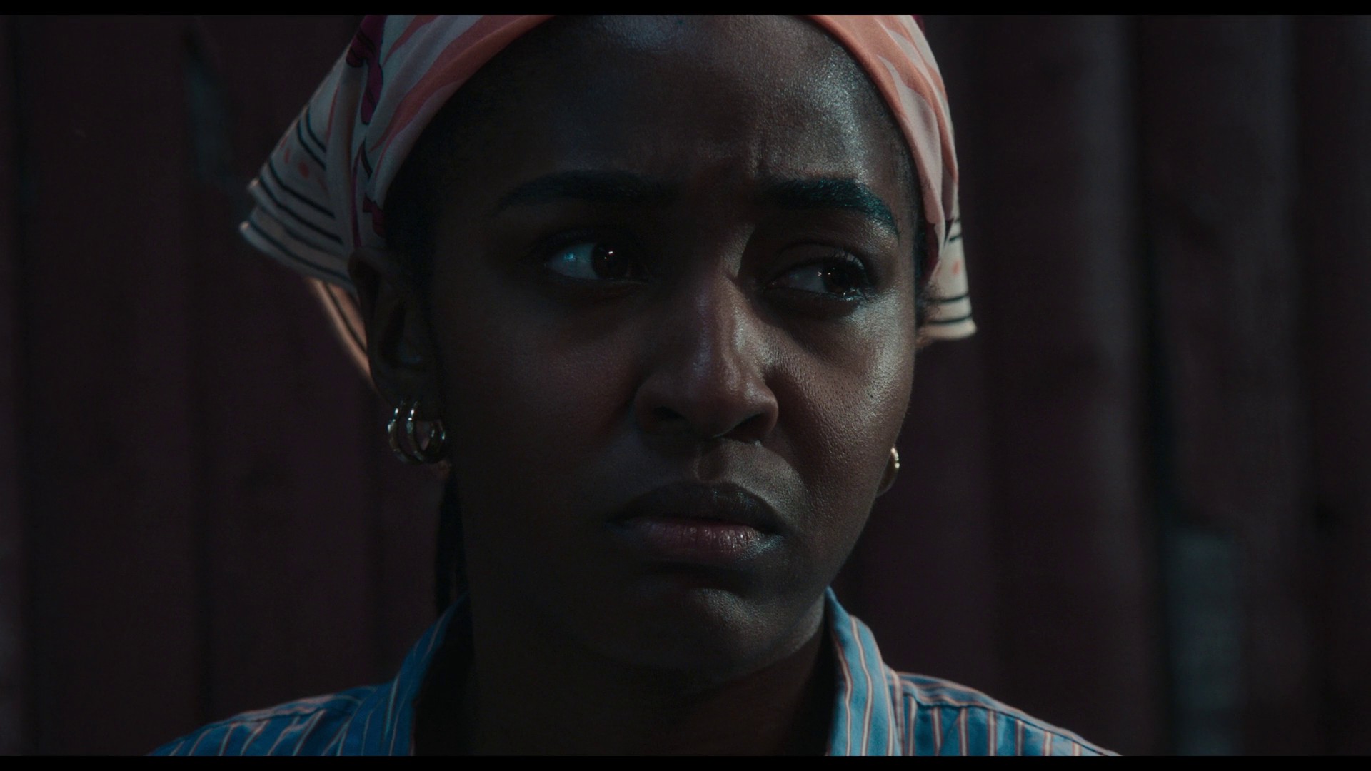 thebear410_243.jpg thebear410_243.jpg