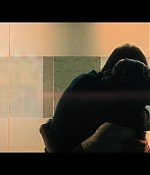 thebear508_428.jpg