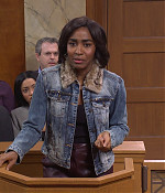 4911snl1099.jpg